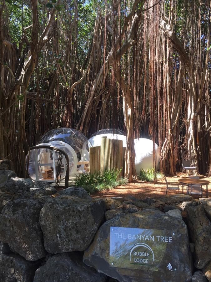 バブル ロッジ イル オ セルフ Ile aux Cerfs エクステリア 写真